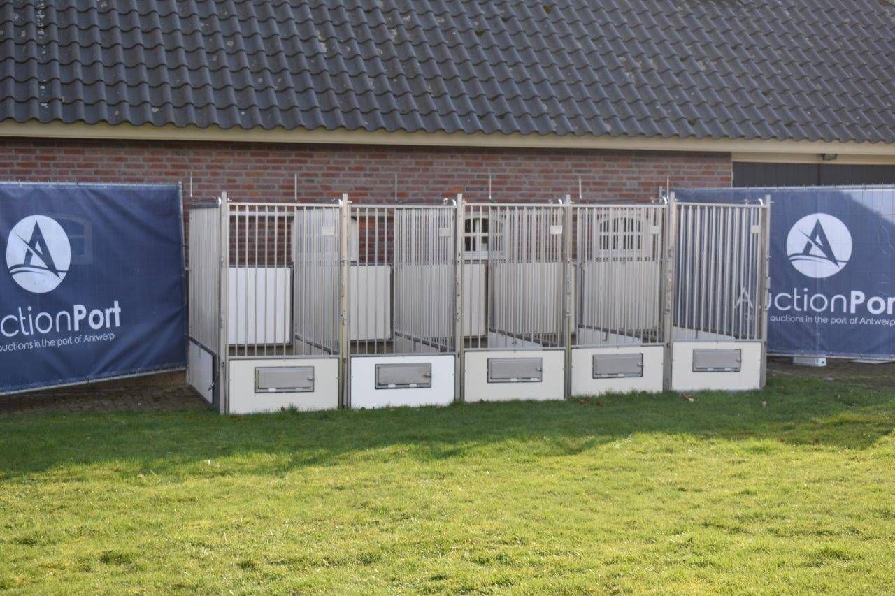 Set of dog houses 5 pieces