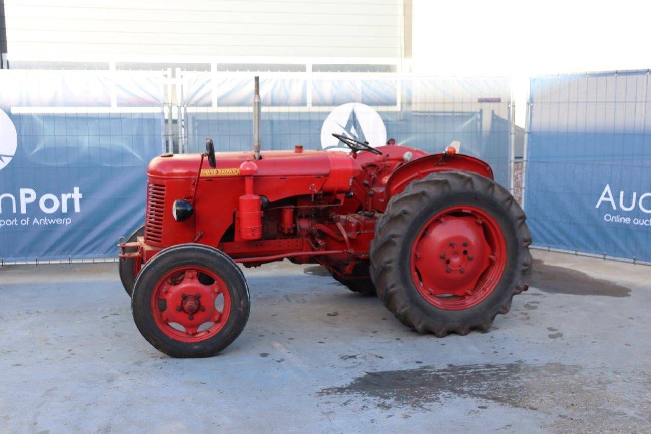 Tractor David Brown 25D Diesel (Margin)