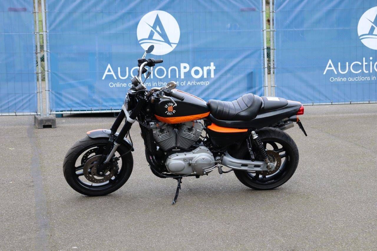 Motorcycle Harley Davidson XR 1200 Sportster Petrol