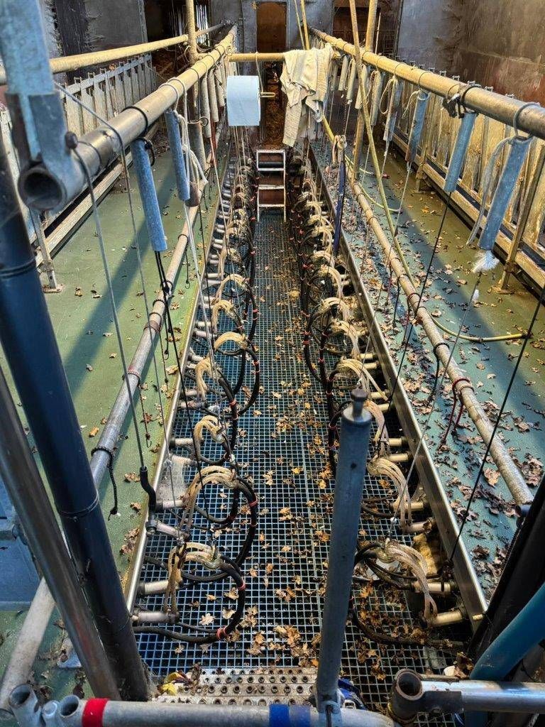 Milking parlor Alfa Laval 2x18 sheep / goats
