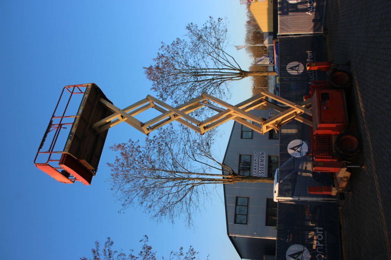 image of the lot