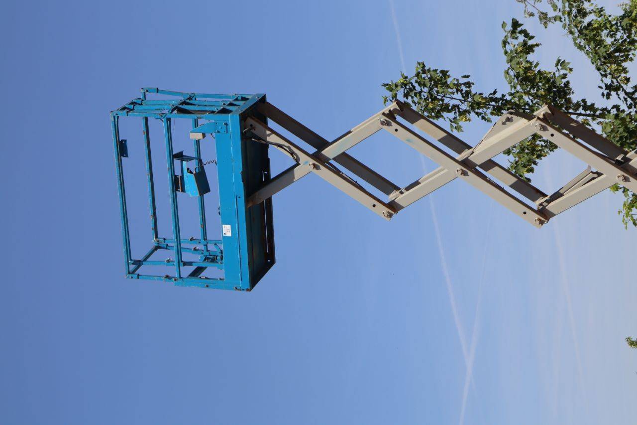 image of the lot