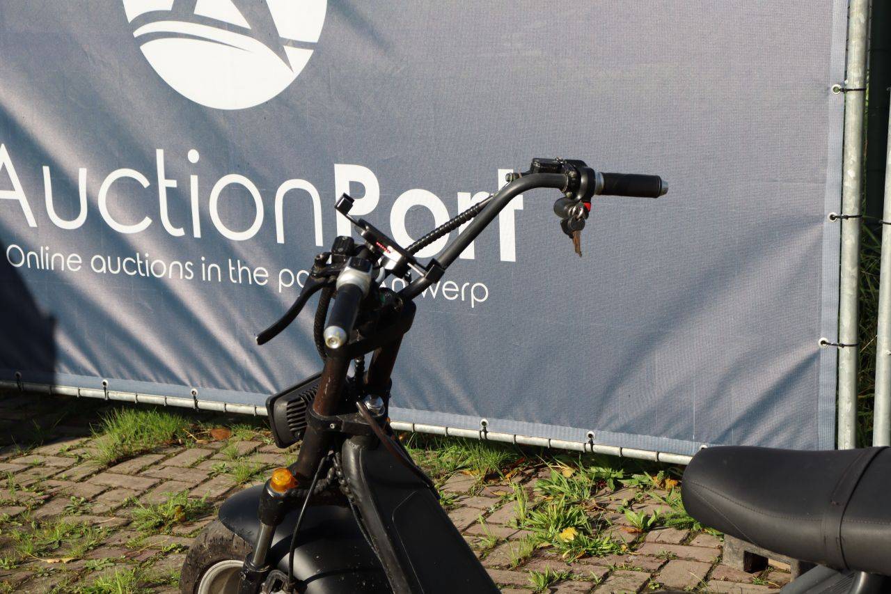 image of the lot