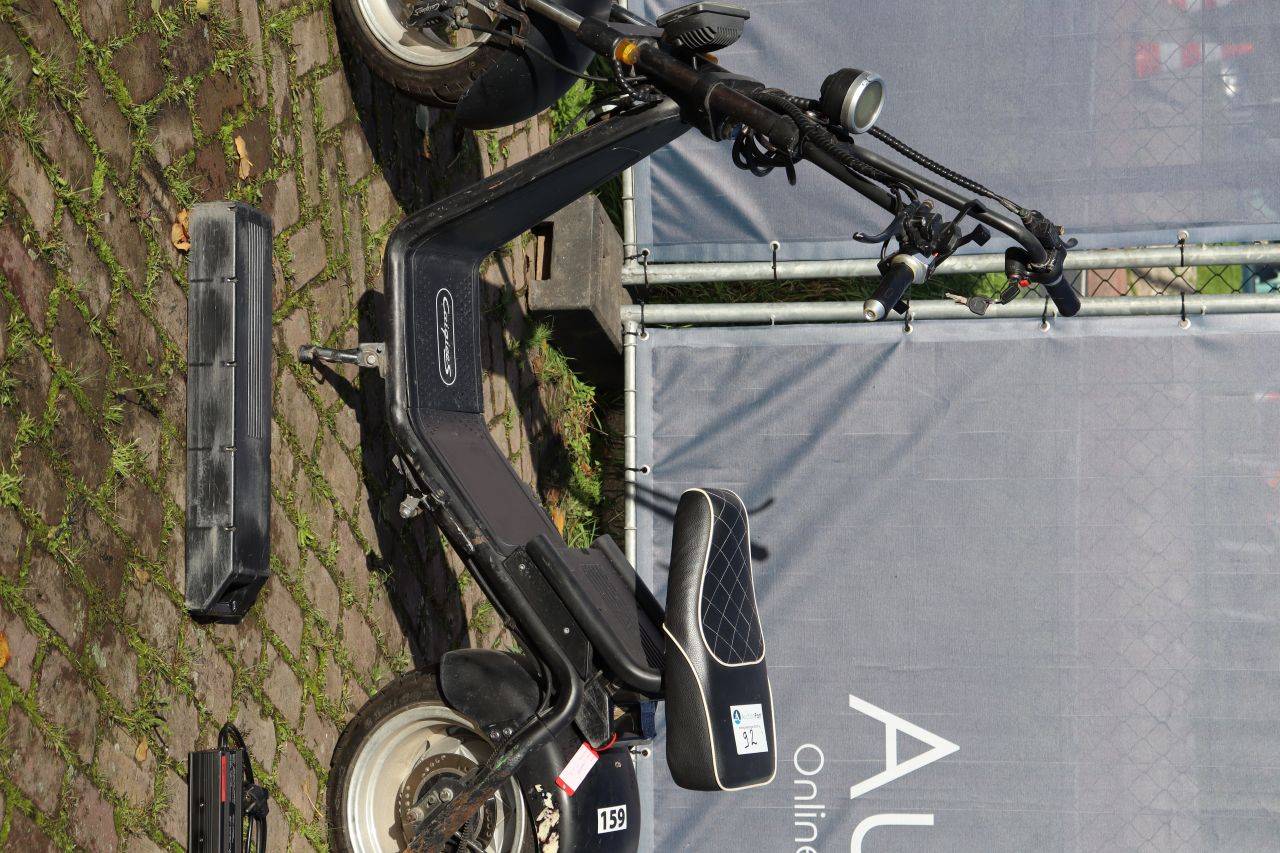 image of the lot
