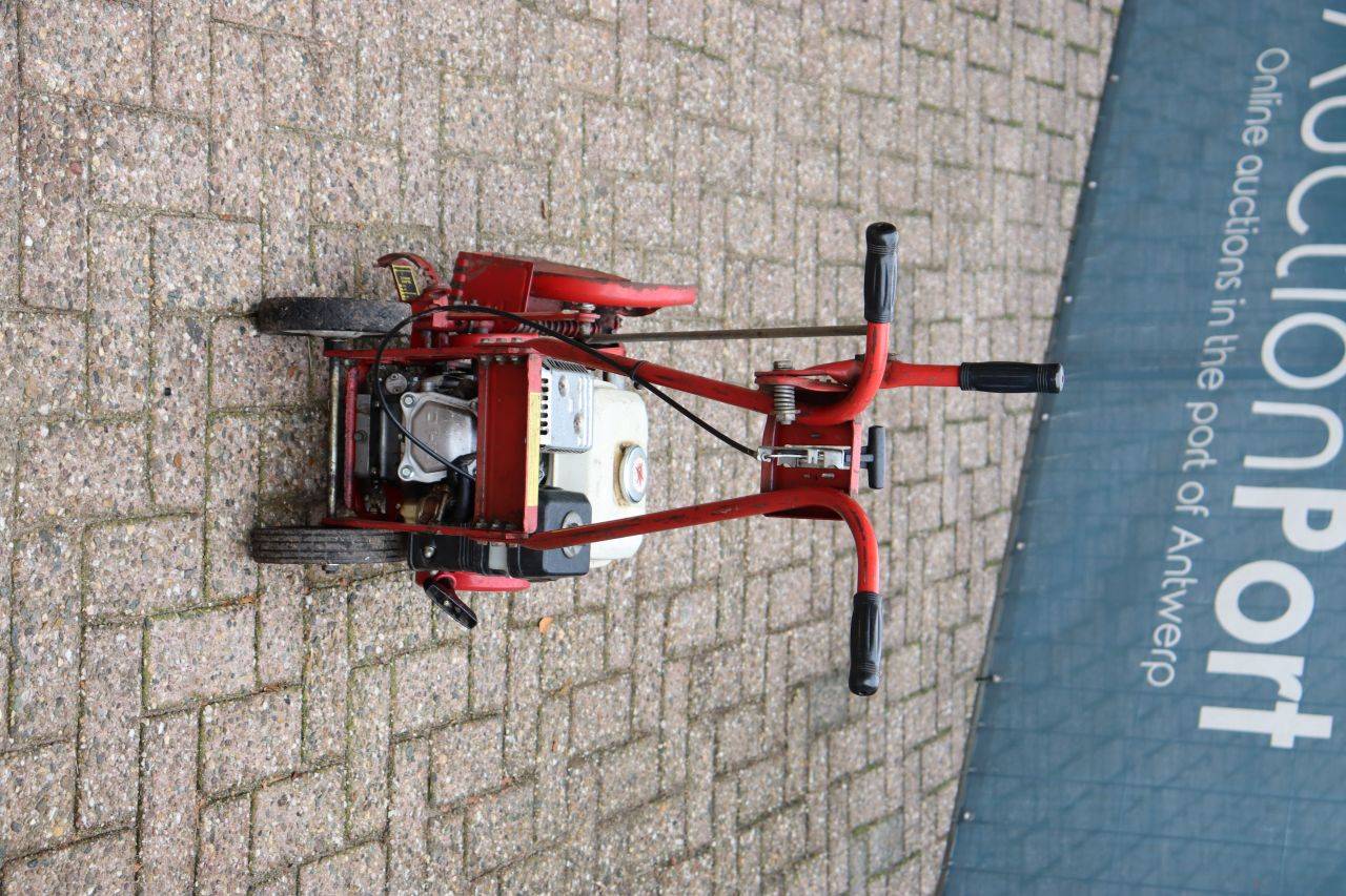 image of the lot
