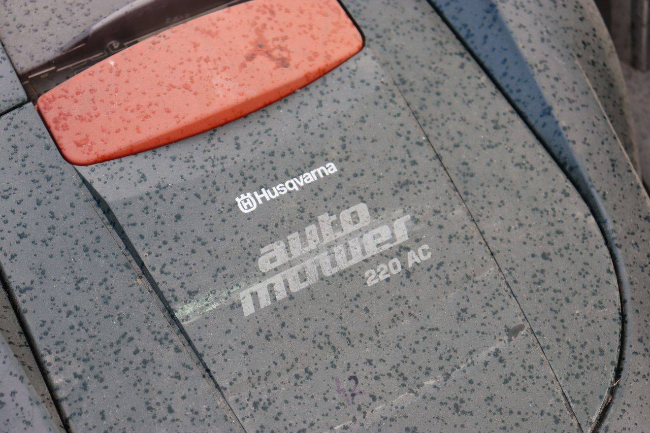 image of the lot