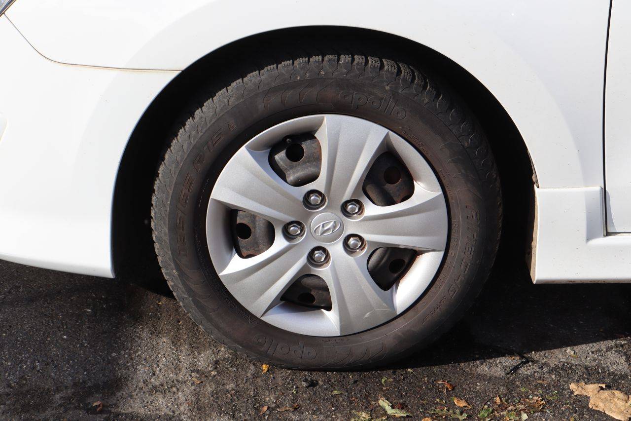 image of the lot