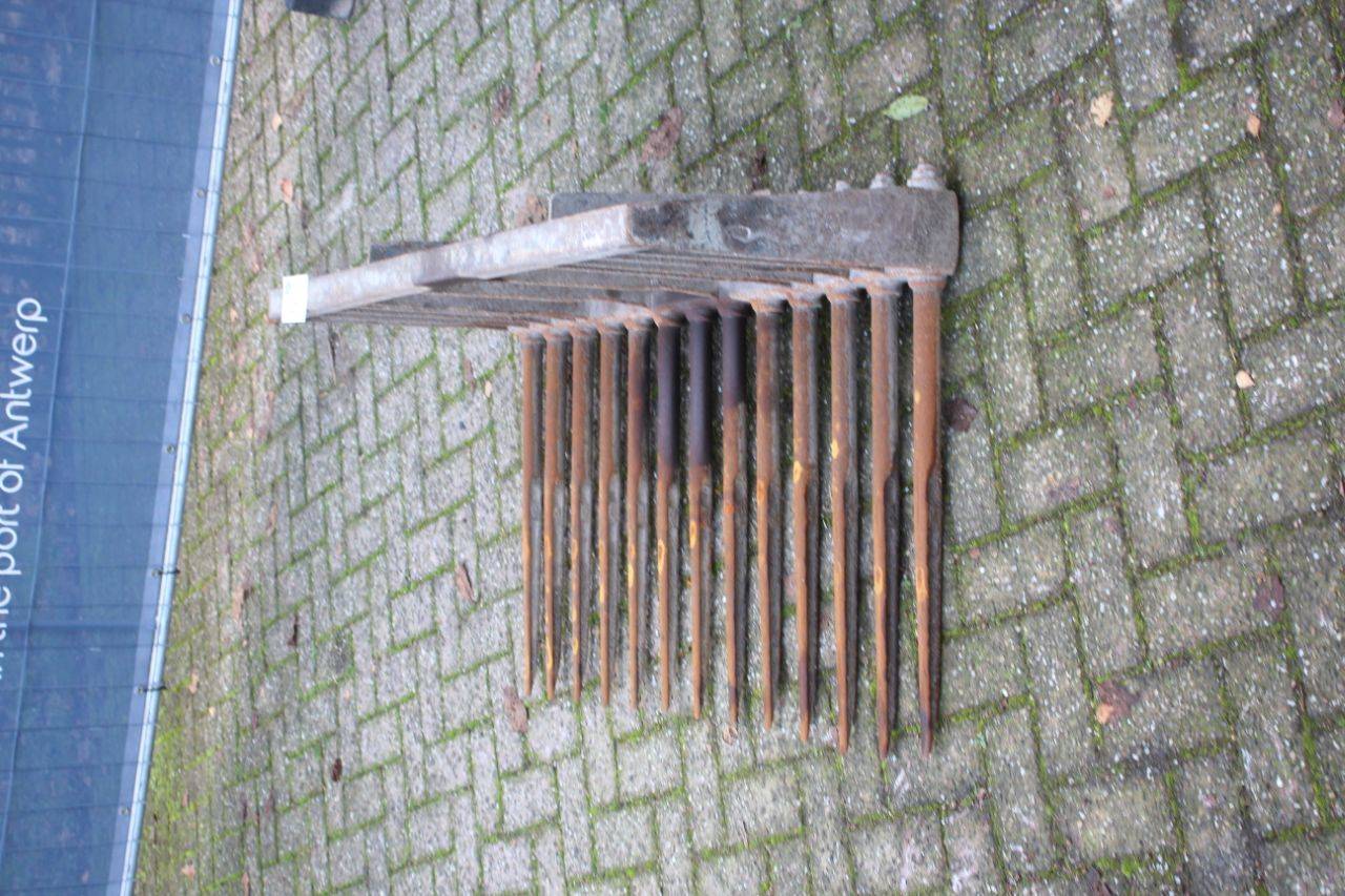 image of the lot