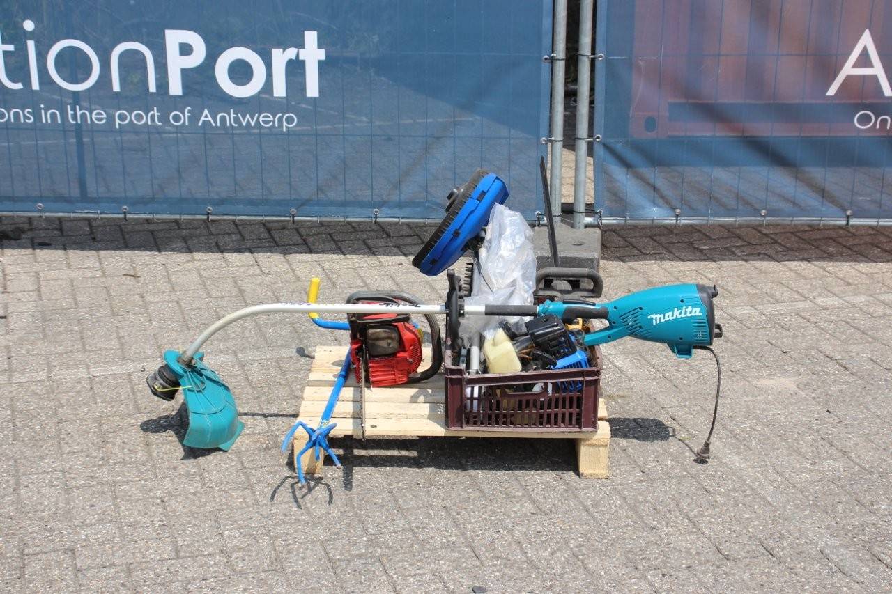 image of the lot