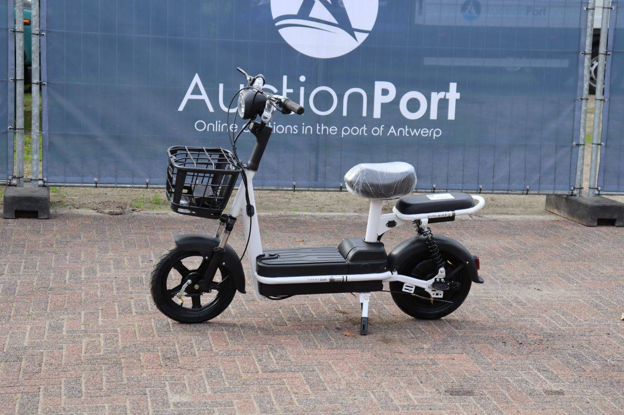 Electric Scooter New