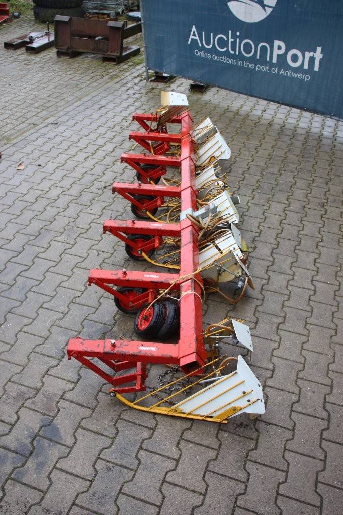 image of the lot