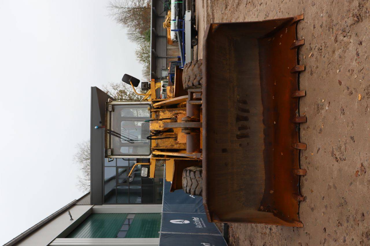 image of the lot