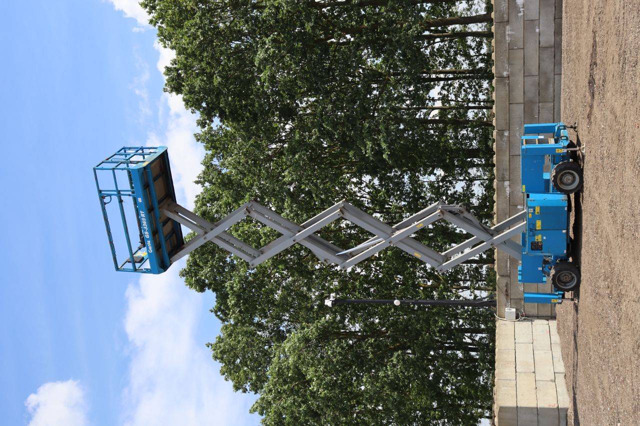 image of the lot