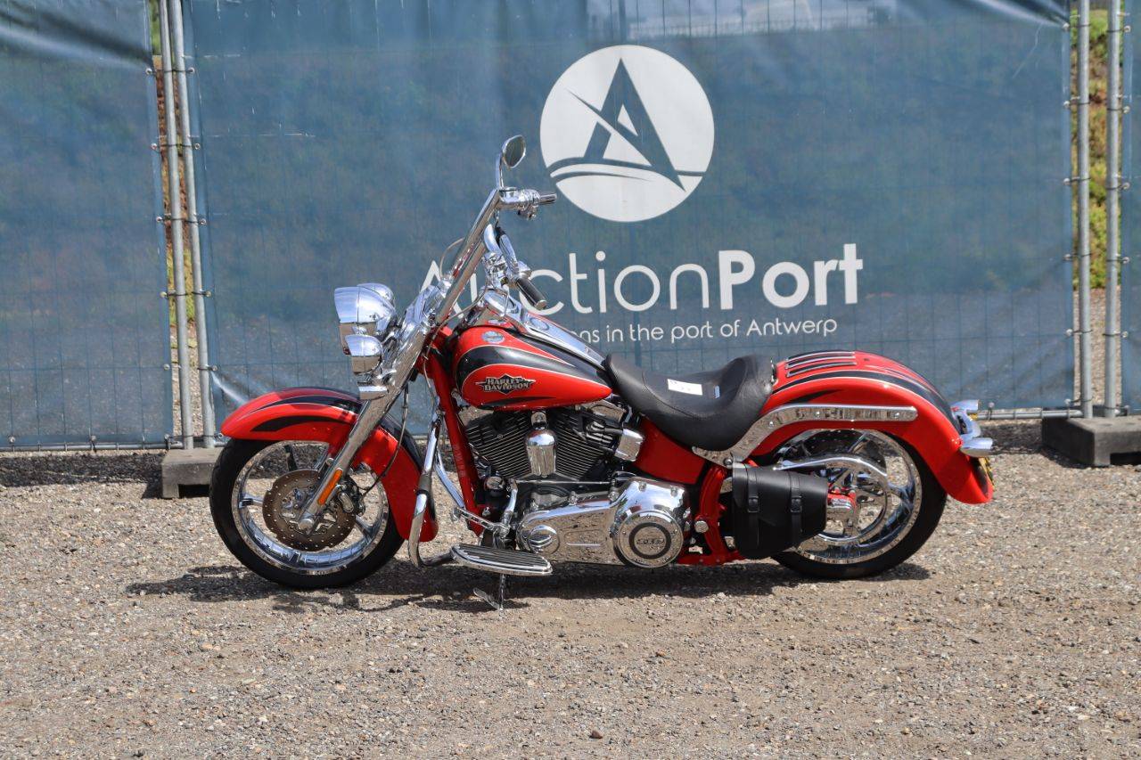 image of the lot