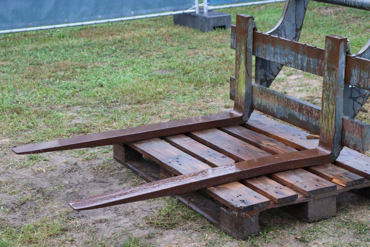 image of the lot