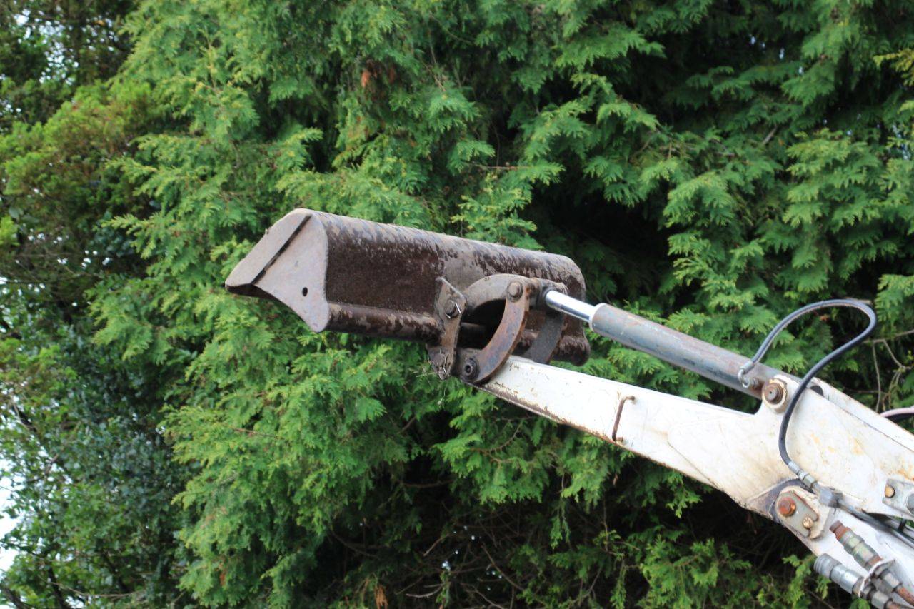 image of the lot