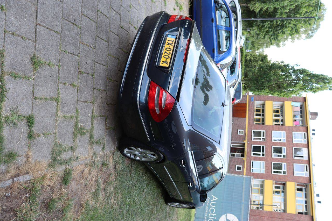 image of the lot
