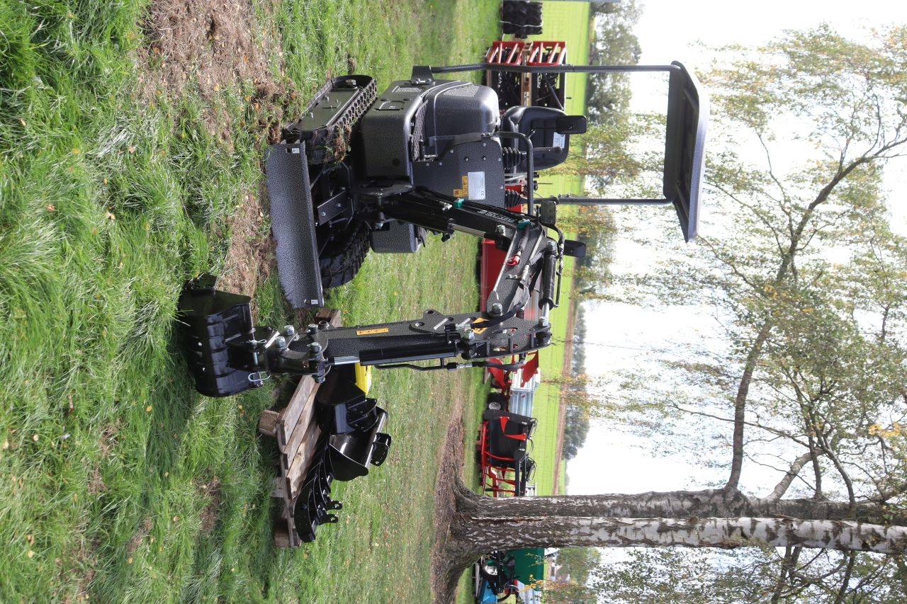 image of the lot