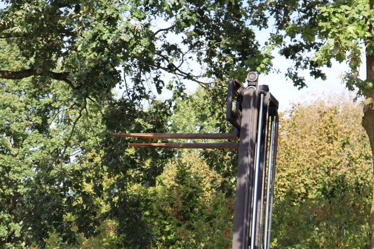 image of the lot