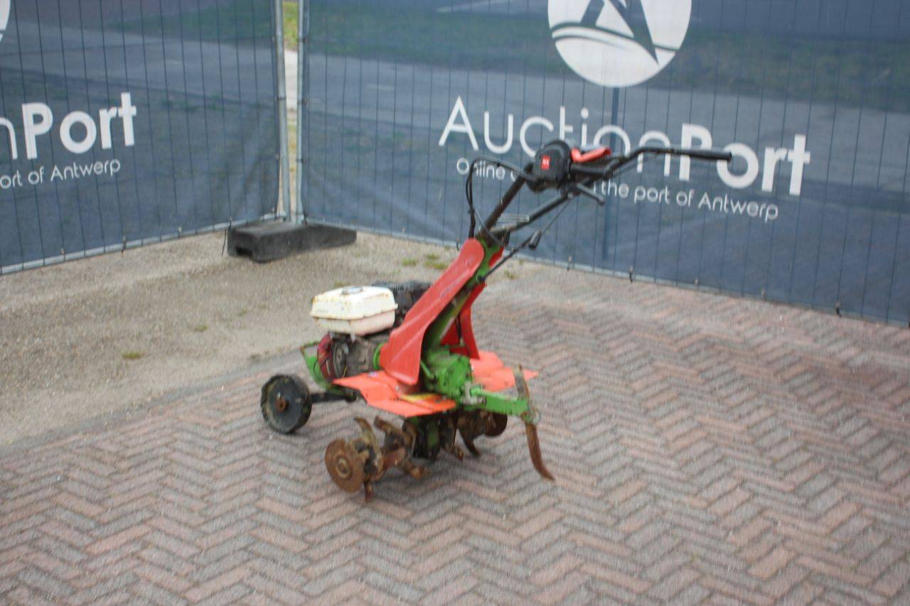 image of the lot
