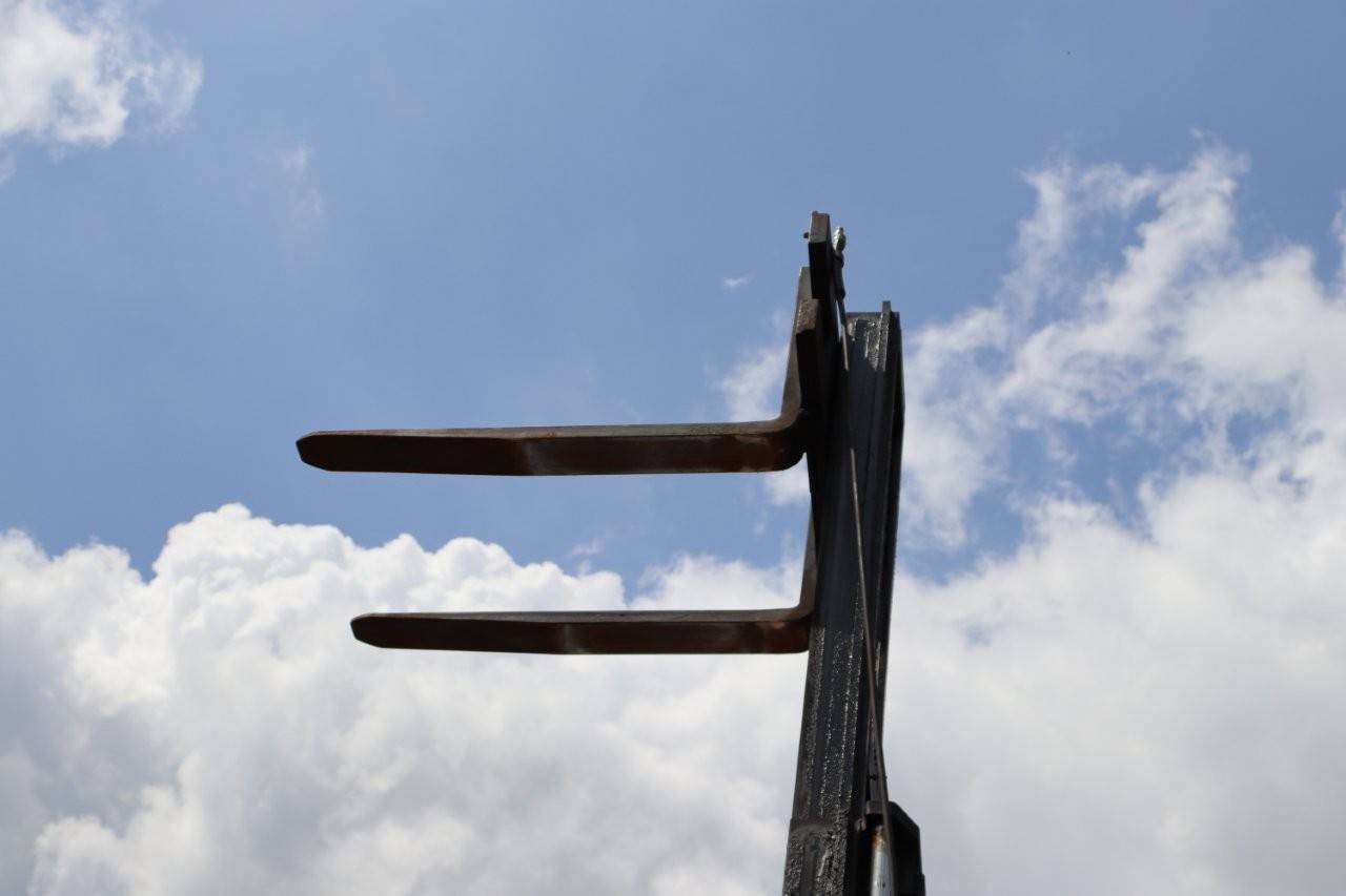 image of the lot