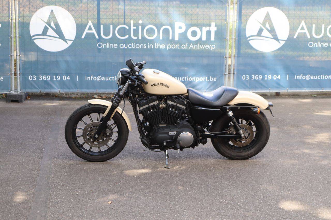 Harley-Davidson Sportster XL883N Iron Benzine 2014