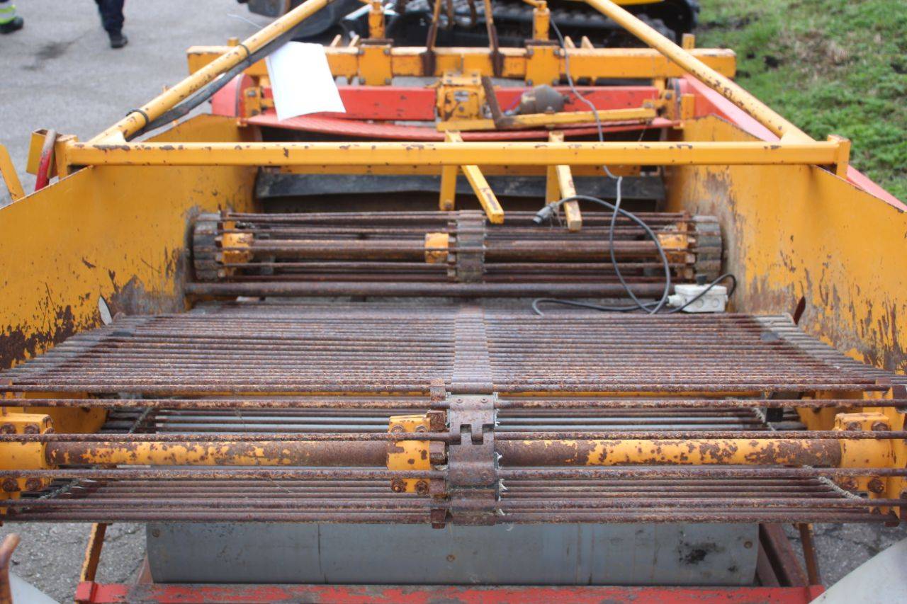 image of the lot
