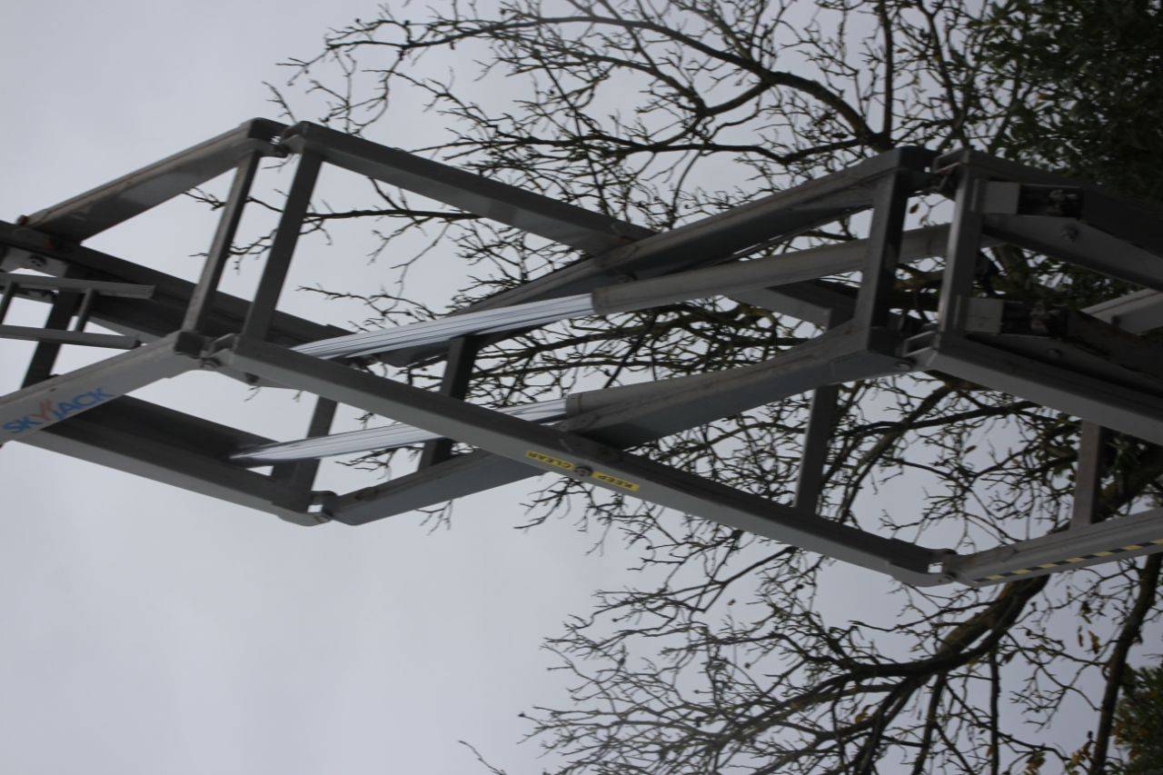 image of the lot