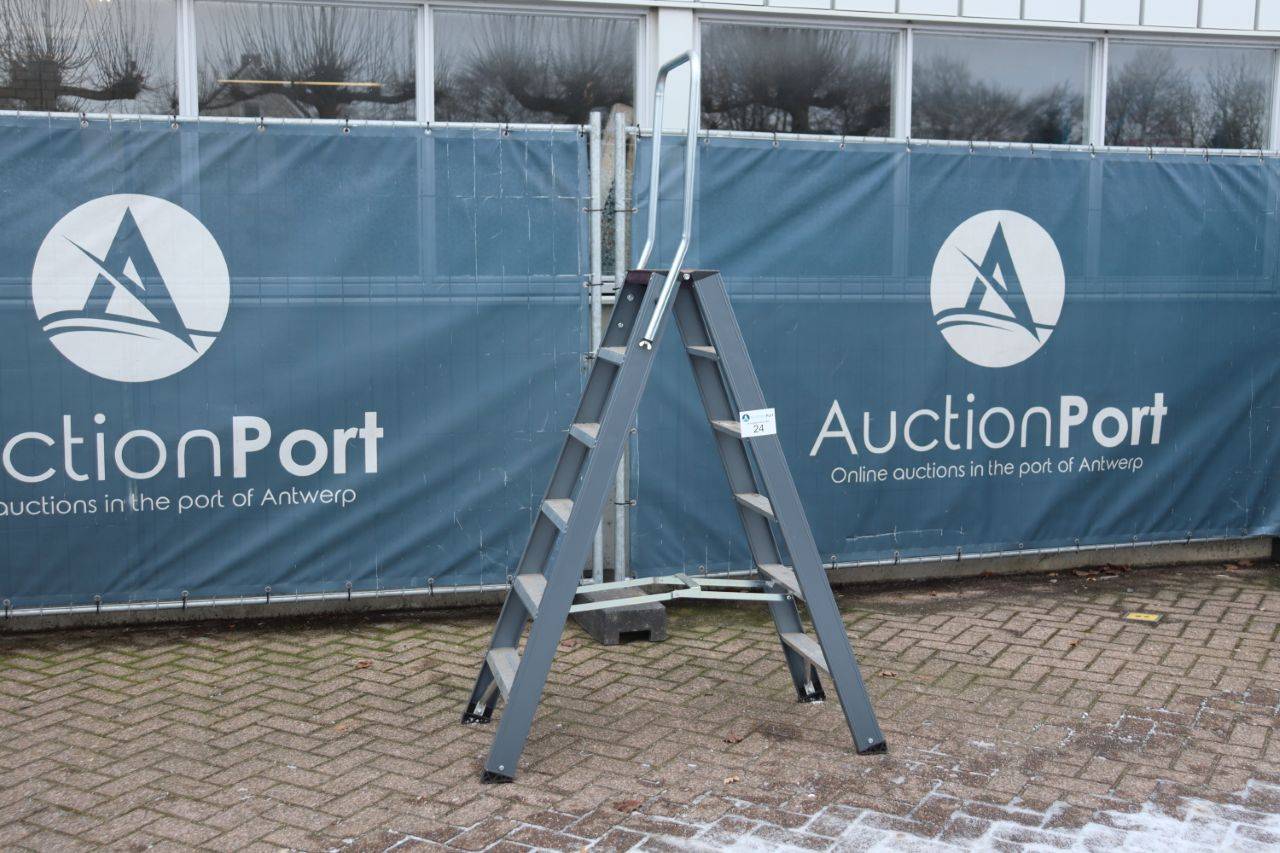 Double stepladder