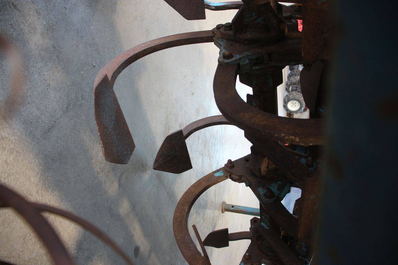 image of the lot