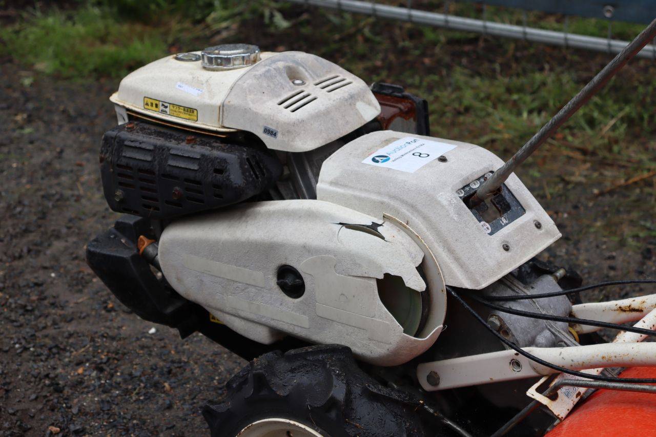 image of the lot