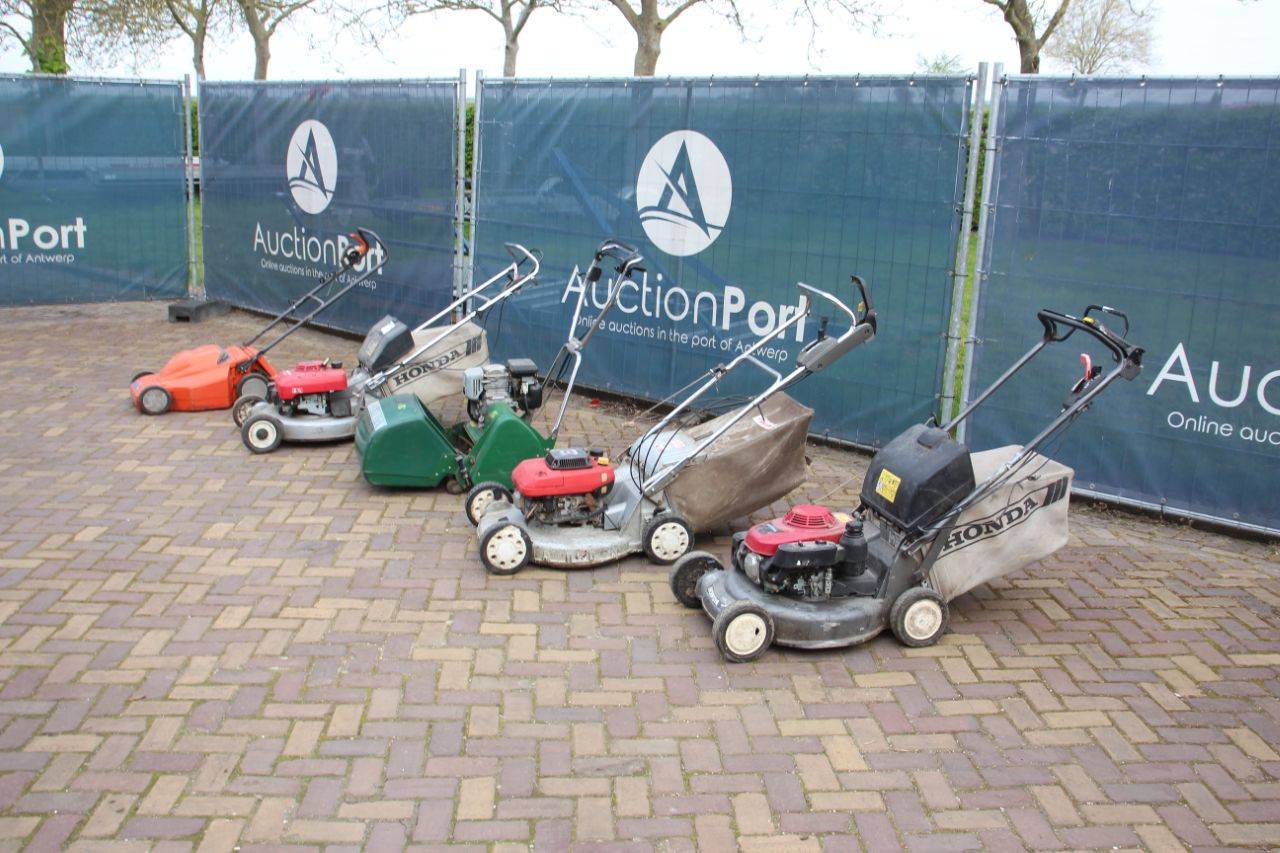 image of the lot