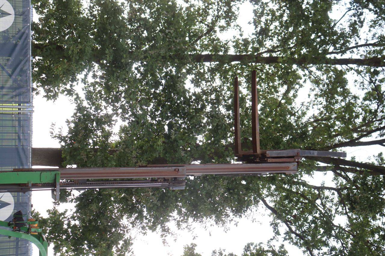 image of the lot
