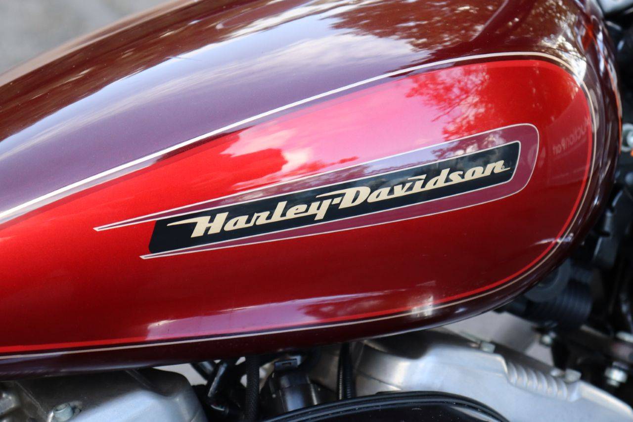 image of the lot