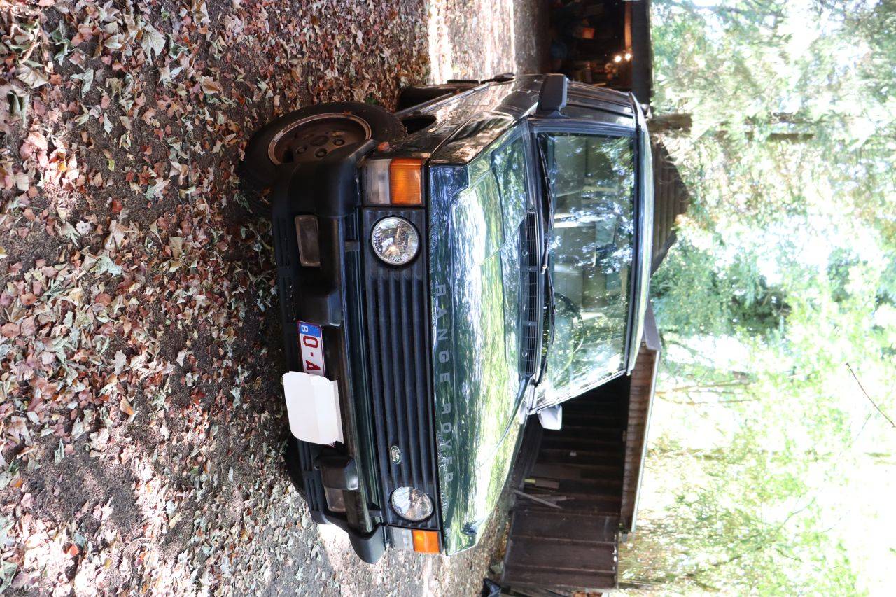 image of the lot