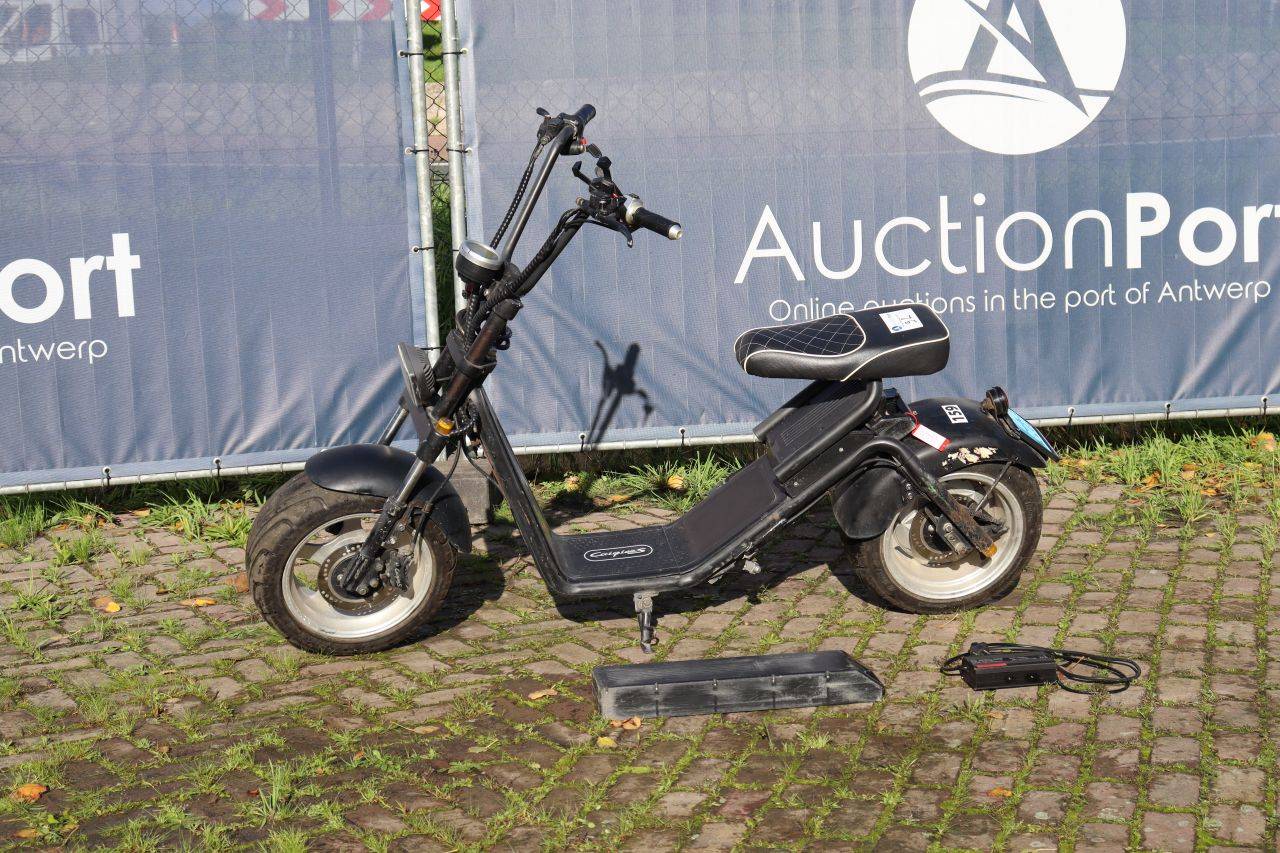 Trottinette électrique Eznen Caigiees 2018