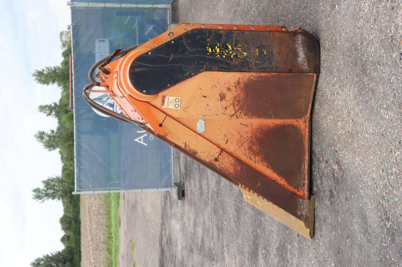 image of the lot