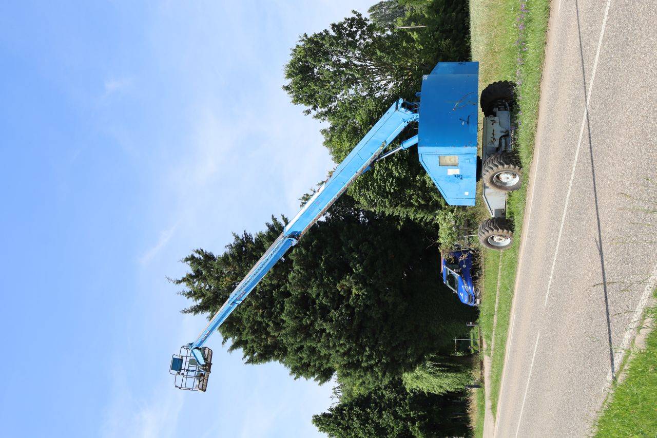 image of the lot