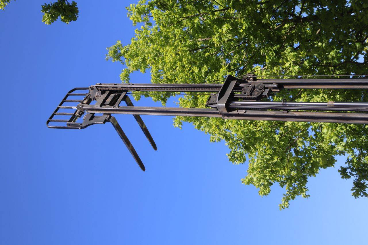 image of the lot