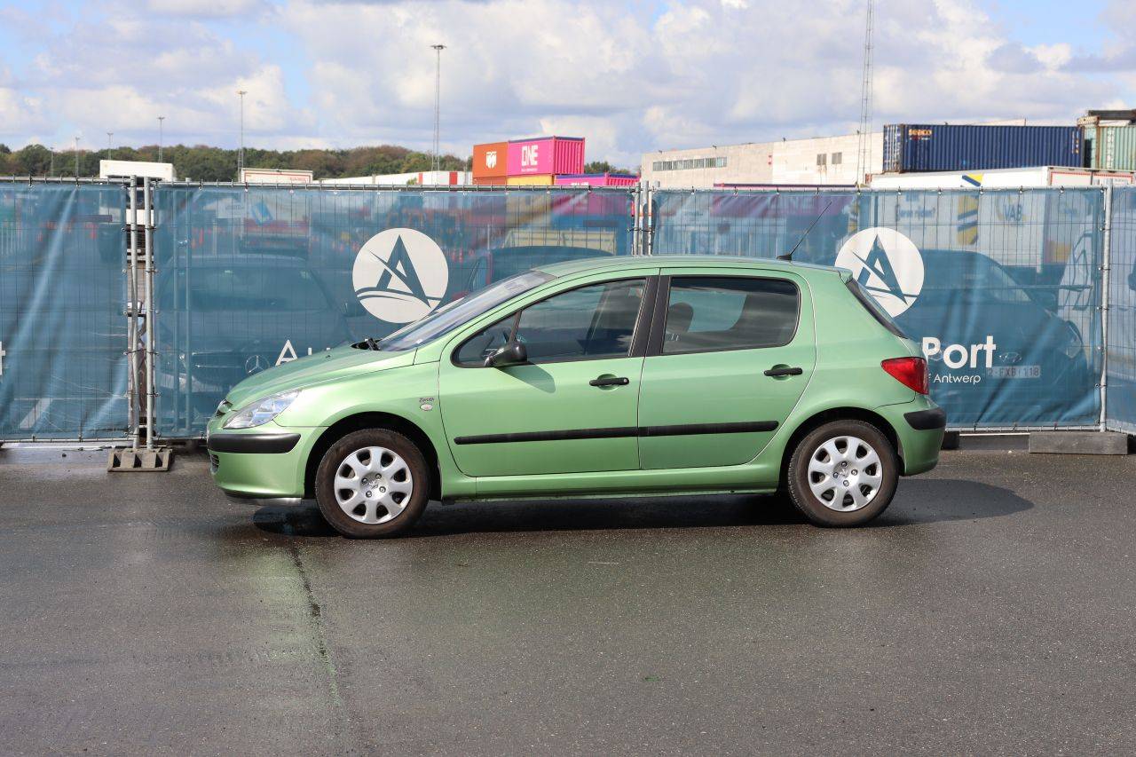 Passenger car Peugeot 307 Petrol 110hp 2004 (Margin)
