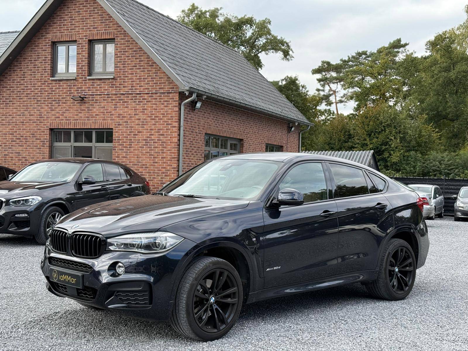 BMW X6 Xdrive 30D Diesel 2018 (Margin)