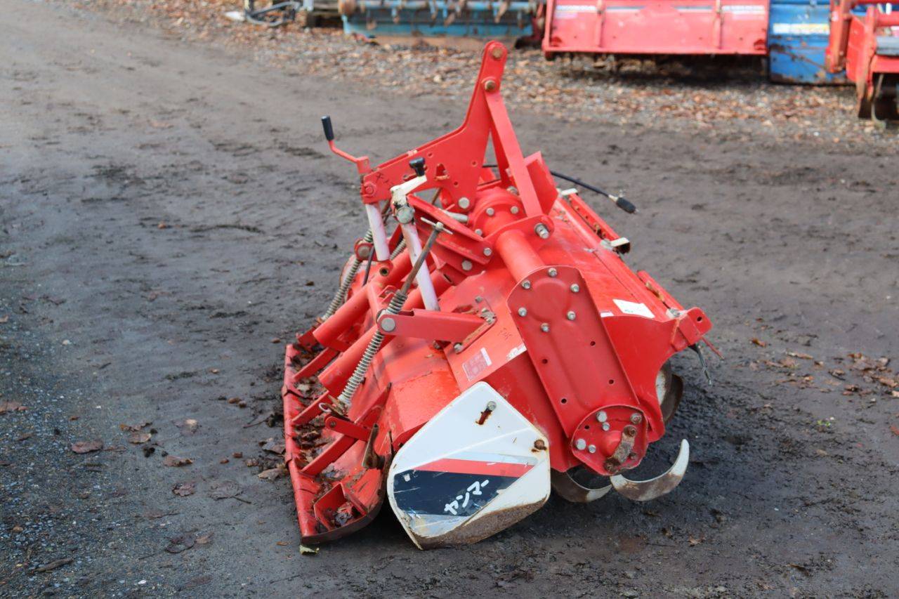 image of the lot