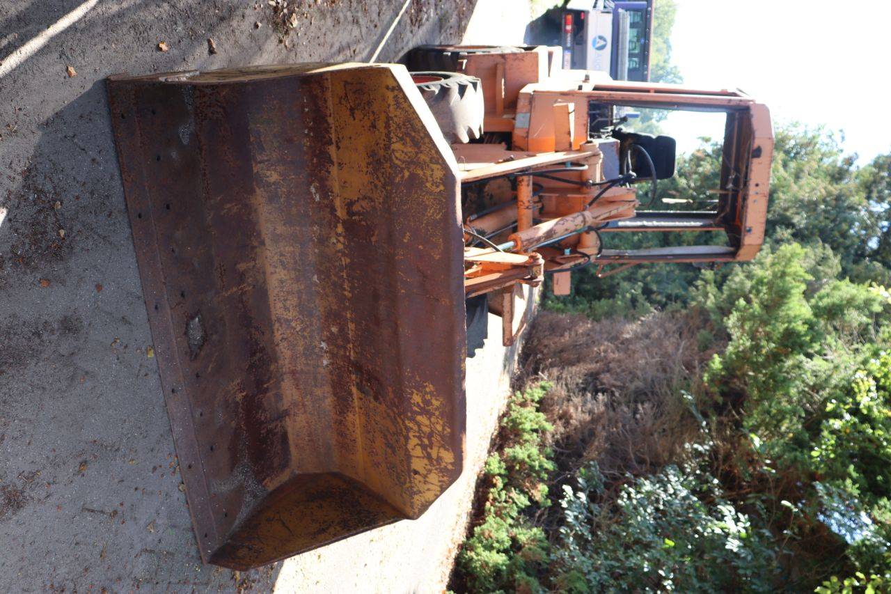 image of the lot