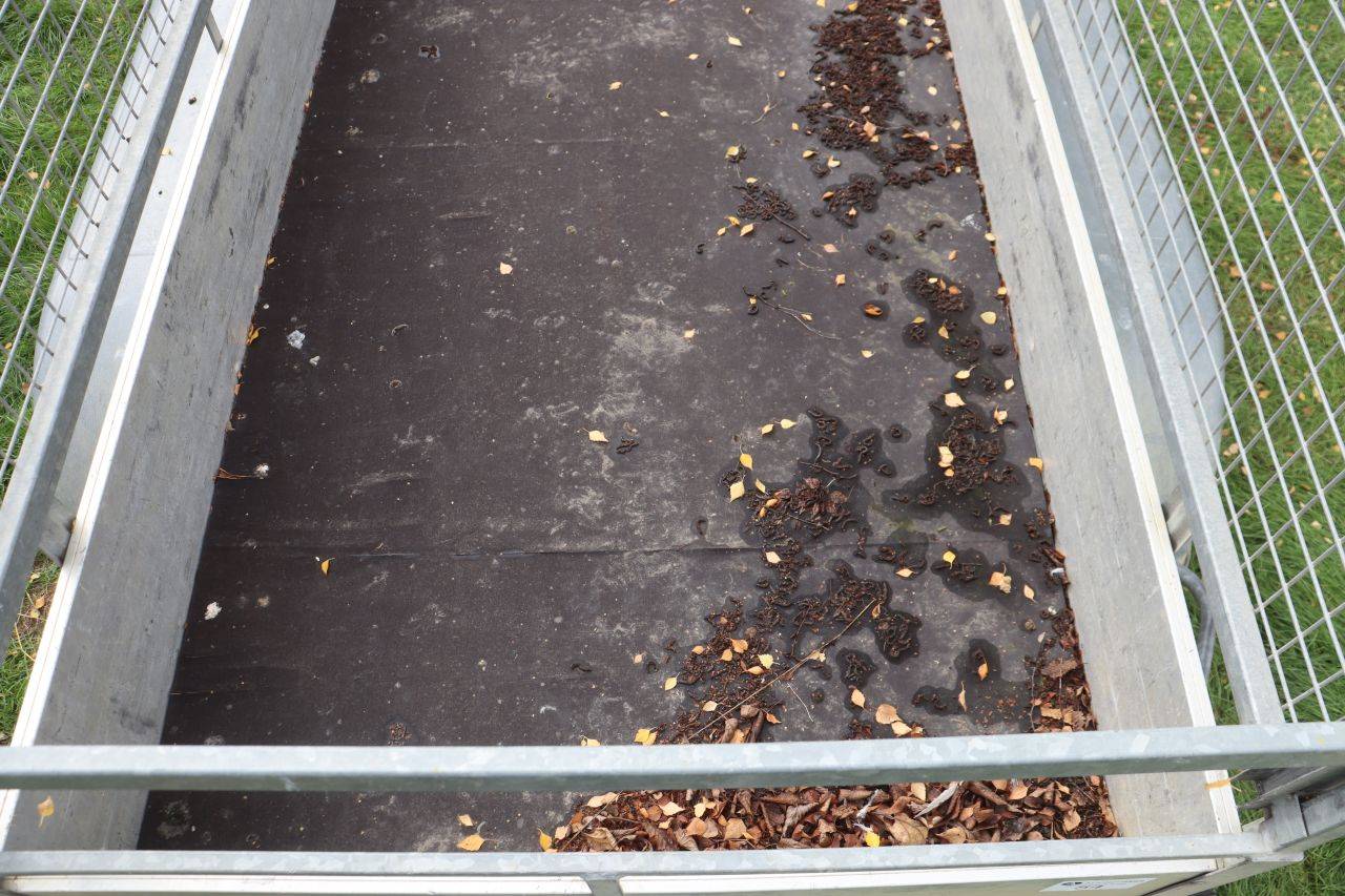 image of the lot