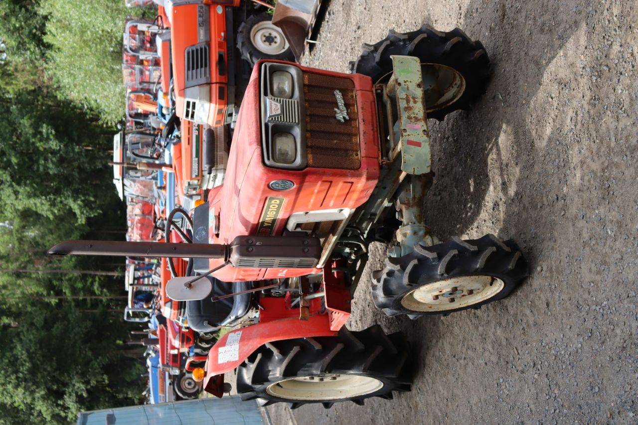 image of the lot