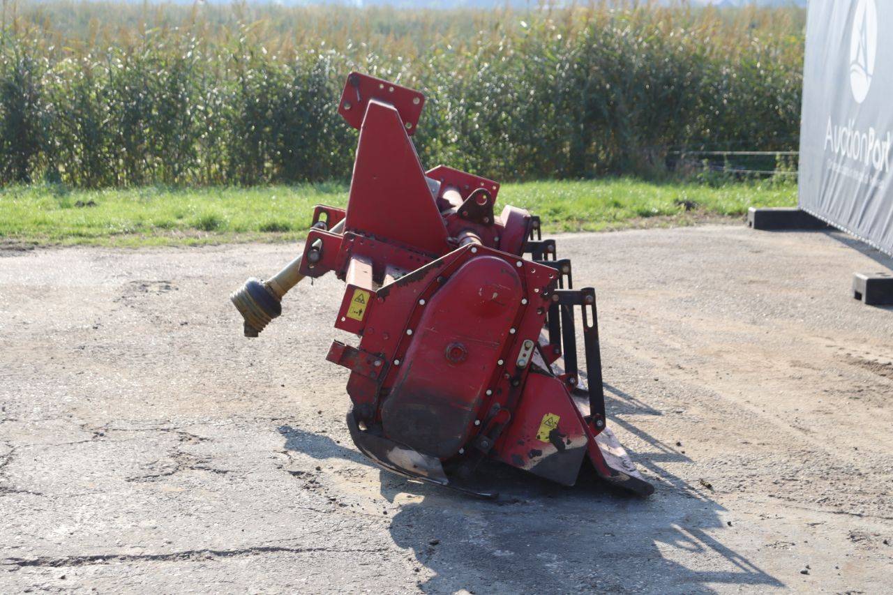 image of the lot