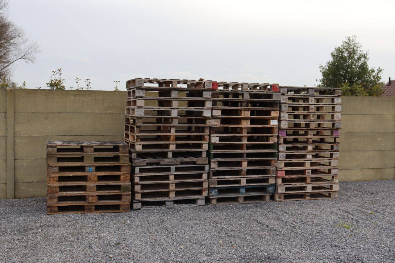 Lot of various pallets 50 pieces (Margin)