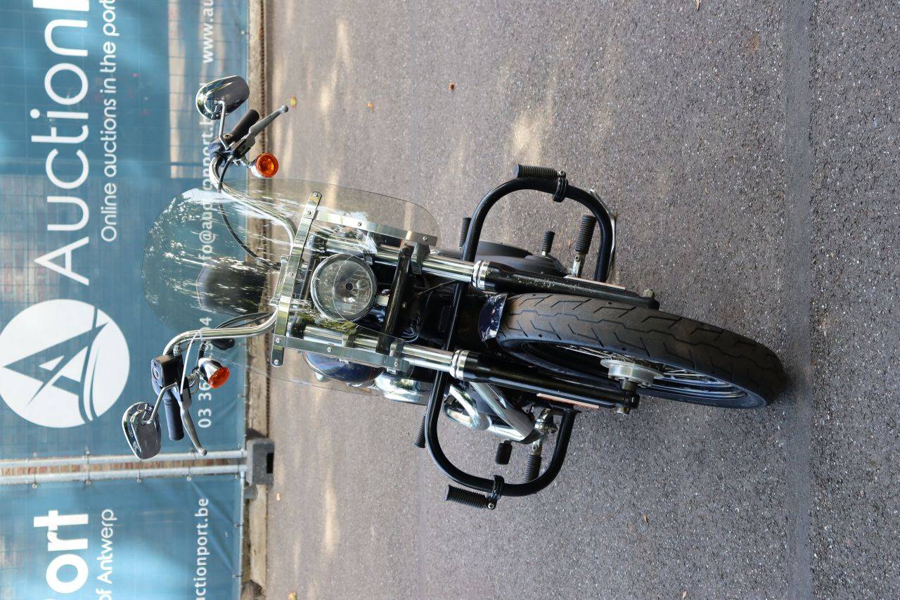 image of the lot