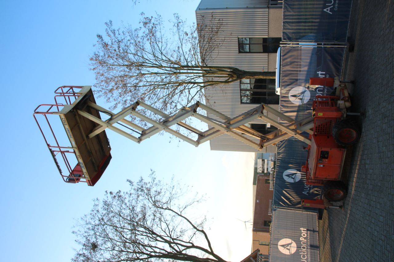 image of the lot