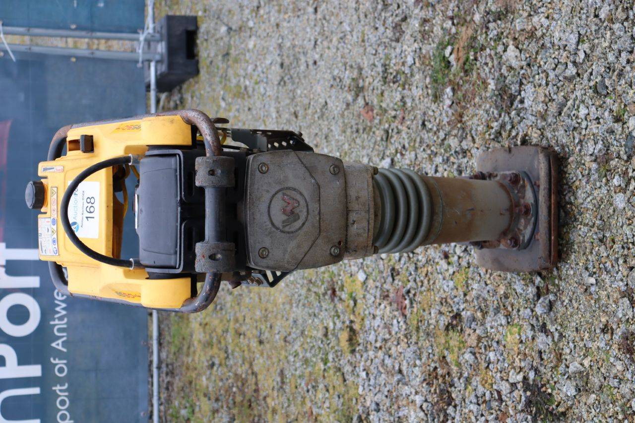 image of the lot